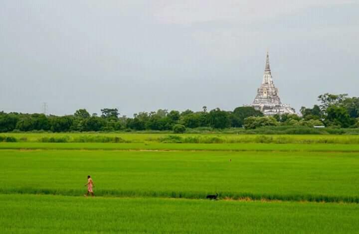 Slowlife House Ayothaya Ayutthaya Exteriér fotografie